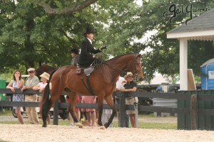 Upperville Sidesaddle 2005 Kristin Glover