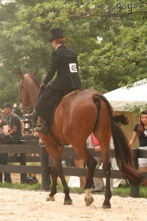 Upperville Sidesaddle 2005 Kristin Glover