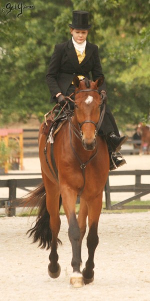 Upperville Sidesaddle Kristin Glover 2005