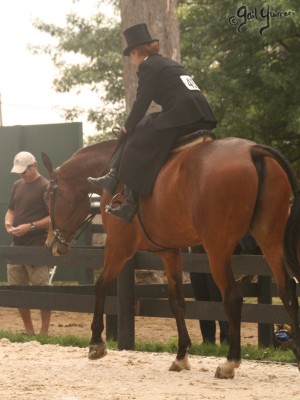 Upperville Sidesaddle 2005 Kristin Glover