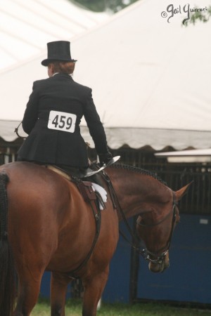 Upperville Sidesaddle 2005 Kristin Glover