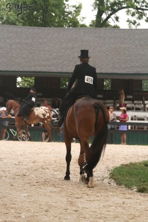 Upperville Sidesaddle 2005 Kristin Glover