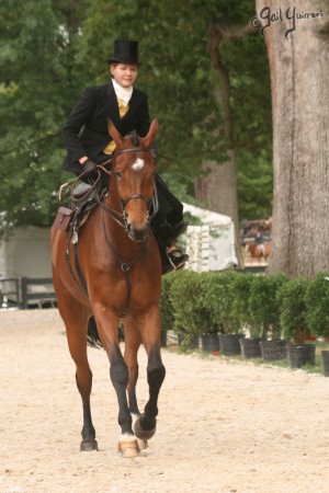 Upperville Sidesaddle 2005 Kristin Glover