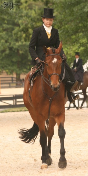 Upperville Sidesaddle 2005 Kristin Glover