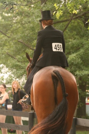 Upperville Sidesaddle Kristin Glover 2005