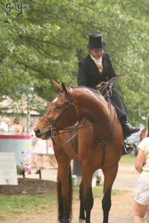 Upperville Sidesaddle 2005 Kristin Glover