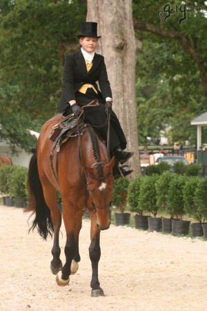 Upperville Sidesaddle 2005 Kristin Glover