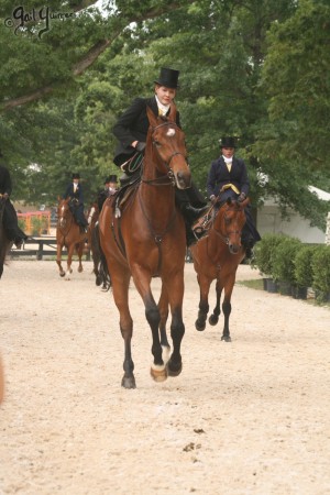 Upperville Sidesaddle 2005 Kristin Glover