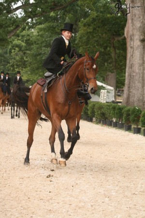 Upperville Sidesaddle 2005 Kristin Glover