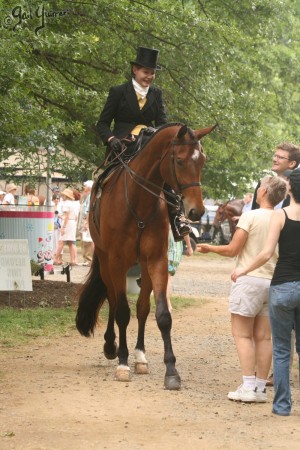 Upperville Sidesaddle 2005 Kristin Glover