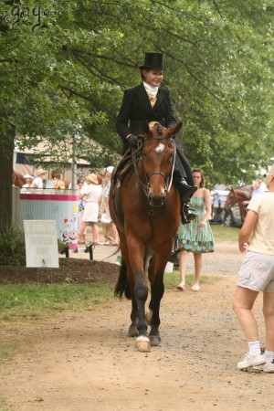 Upperville Sidesaddle 2005 Kristin Glover