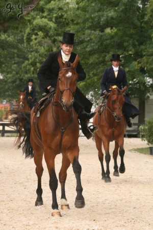 Upperville Sidesaddle 2005 Kristin Glover