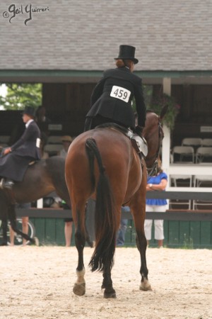 Upperville Sidesaddle 2005 Kristin Glover