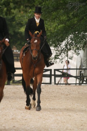 Upperville Sidesaddle 2005 Kristin Glover