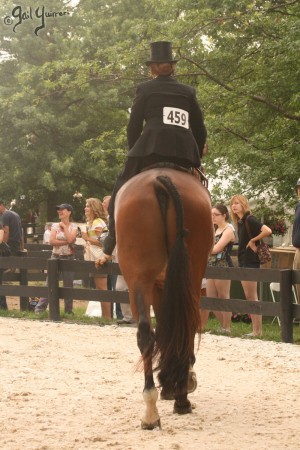 Upperville Sidesaddle 2005 Kristin Glover