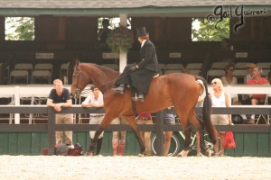 Upperville Sidesaddle 2005 Kristin Glover