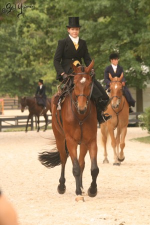 Upperville Sidesaddle 2005 Kristin Glover