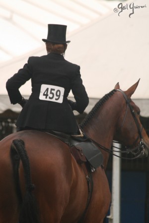 Upperville Sidesaddle 2005 Kristin Glover