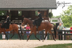 Upperville Sidesaddle 2005 Kristin Glover