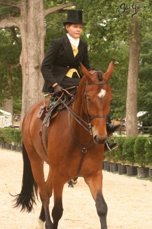 Upperville Sidesaddle Kristin Glover 2005