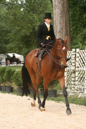 Upperville Sidesaddle 2005 Kristin Glover