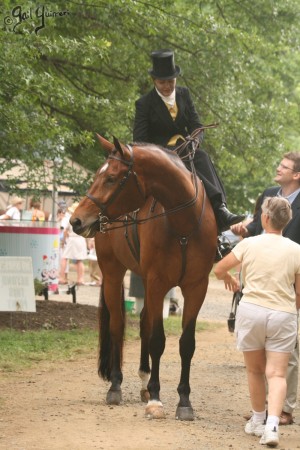 Upperville Sidesaddle 2005 Kristin Glover