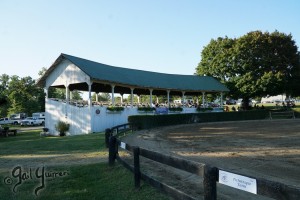 Warrenton Horse Show Grandstand