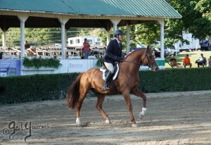 Warrenton Horse Show Grandstand