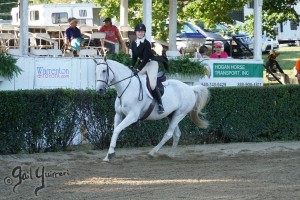 Warrenton Horse Show Grandstand