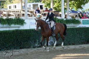 Warrenton Horse Show Grandstand