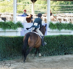 Warrenton Horse Show Grandstand