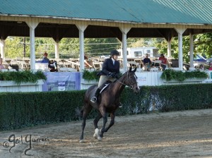 Warrenton Horse Show Grandstand