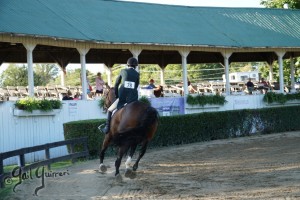 Warrenton Horse Show Grandstand