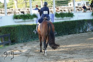 Warrenton Horse Show Grandstand