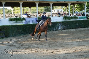 Warrenton Horse Show Grandstand