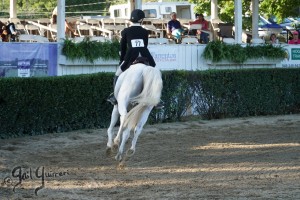 Warrenton Horse Show Grandstand