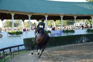 Warrenton Horse Show Grandstand