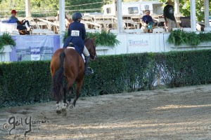 Warrenton Horse Show Grandstand