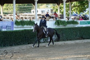 Warrenton Horse Show Grandstand