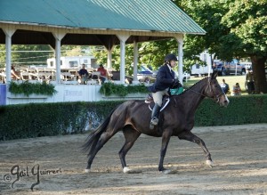 Warrenton Horse Show Grandstand