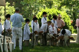Morven Park Hound Show 2010