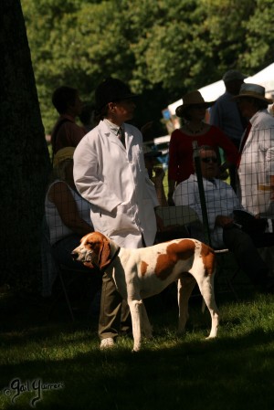 Morven Park Hound Show 2010