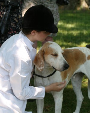 Morven Park Hound Show 2010