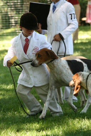 Morven Park Hound Show 2010
