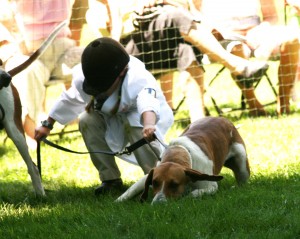 Morven Park Hound Show 2010