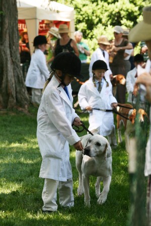Morven Park Hound Show 2010
