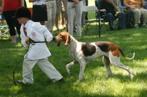 Morven Park Hound Show 2010