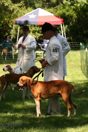 Morven Park Hound Show 2010
