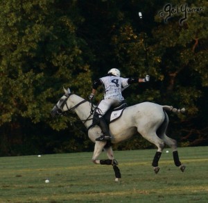 Presidents Cup Polo 2024