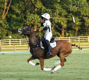 Presidents Cup Polo 2024